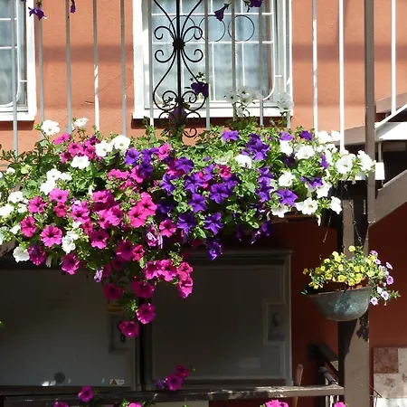 Hotel Baitone - Nature Village