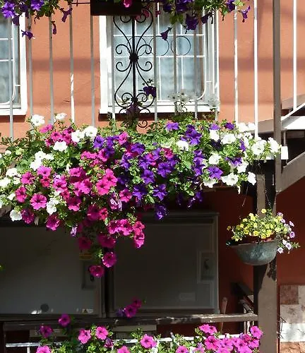 Baitone - Nature Village Malcesine